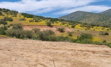 Parcela en Venta en Sector Maitenes - Mandinga