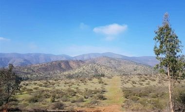 Parcela en Venta en Sector Maitenes - Mandinga