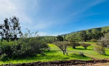 Parcela en Venta en Sector Maitenes - Mandinga