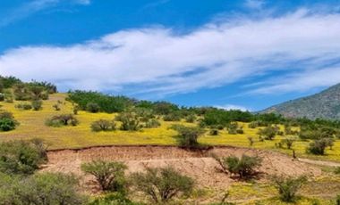Parcela en Venta en Sector Maitenes - Mandinga