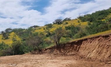 Parcela en Venta en Sector Maitenes - Mandinga