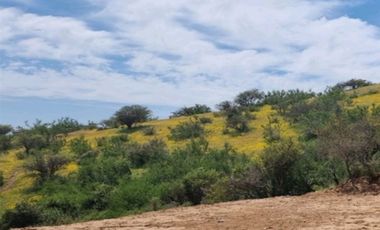 Parcela en Venta en Sector Maitenes - Mandinga