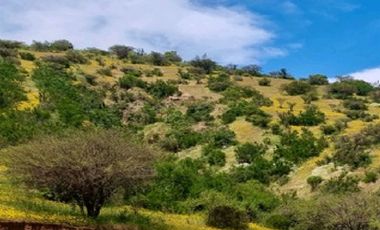 Parcela en Venta en Sector Maitenes - Mandinga