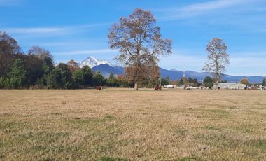 VENTA DE CAMPO DE 25 HECTAREAS