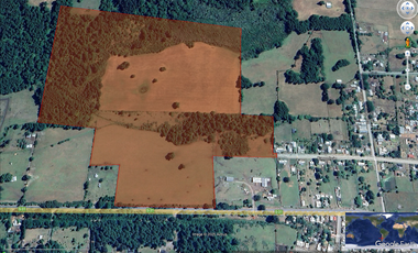 VENTA DE CAMPO DE 25 HECTAREAS