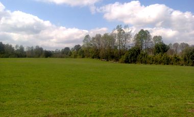 VENTA DE CAMPO DE 25 HECTAREAS