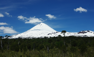 VENTA DE CAMPO DE 25 HECTAREAS