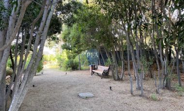 Departamento en arriendo en ALGARROBO