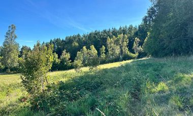 Parcela en venta en OSORNO