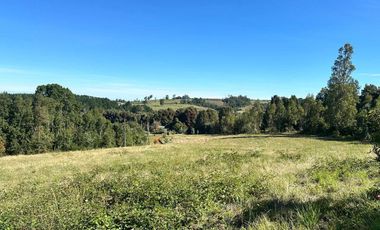 Parcela en venta en OSORNO