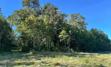 Parcela en venta en OSORNO