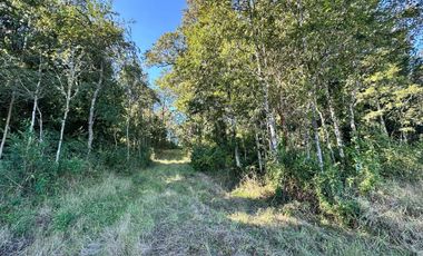 Parcela en venta en OSORNO