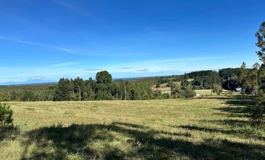 Parcela en venta en OSORNO