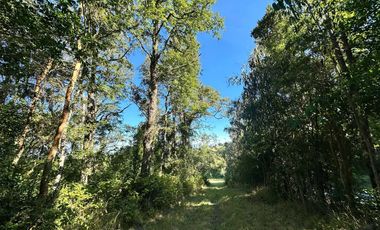 Parcela en venta en OSORNO