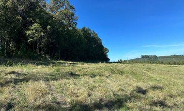 Parcela en venta en OSORNO