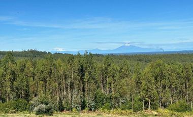 Parcela en venta en OSORNO