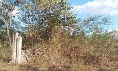 Terreno por la 42 en Jardines de Tahdzibichen