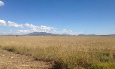 TERRENO EN VENTA EN TOLCAYUCA HIDALGO