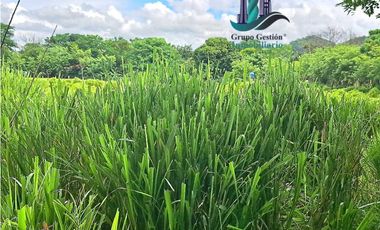 VENDO.FINCA DE 3HA+ 8723mts Via Aguacatal