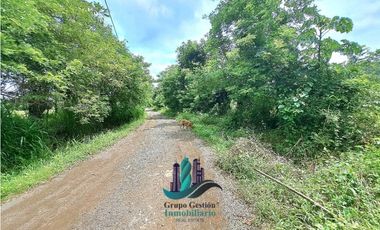 VENDO.FINCA DE 3HA+ 8723mts Via Aguacatal