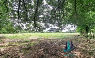 VENDO.FINCA DE 3HA+ 8723mts Via Aguacatal