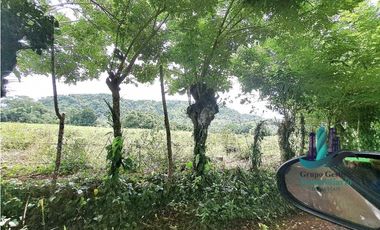 VENDO.FINCA DE 3HA+ 8723mts Via Aguacatal