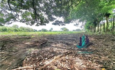 VENDO.FINCA DE 3HA+ 8723mts Via Aguacatal