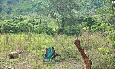 VENDO.FINCA DE 3HA+ 8723mts Via Aguacatal