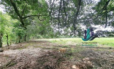 VENDO.FINCA DE 3HA+ 8723mts Via Aguacatal