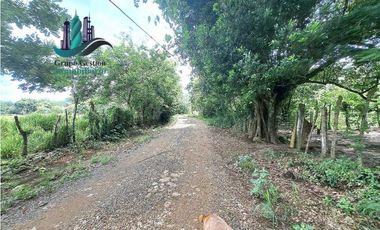 VENDO.FINCA DE 3HA+ 8723mts Via Aguacatal