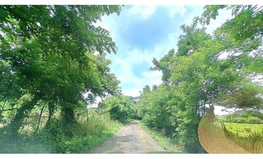 VENDO.FINCA DE 3HA+ 8723mts Via Aguacatal