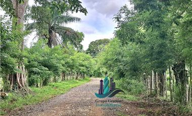 VENDO.FINCA DE 3HA+ 8723mts Via Aguacatal
