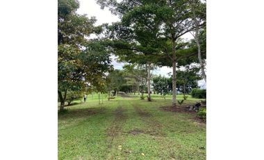 SEA CONFIABLE VENDE TERRENO HACIENDA SANTA DOMENICA EN LA CHORRERA