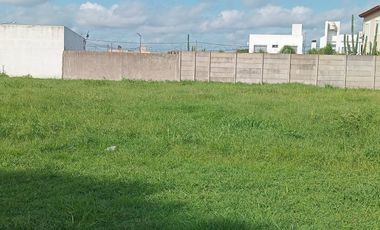 Terreno en calle Natalio Perillo 977