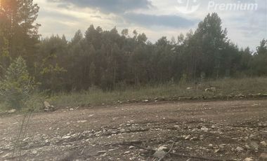 Parcela en Venta en cobquecura