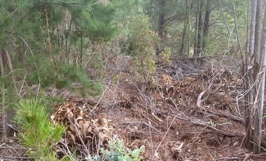 Parcela en Venta en cobquecura