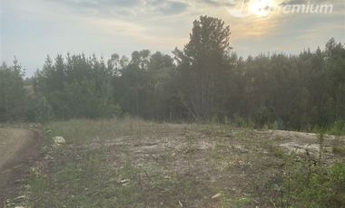 Parcela en Venta en cobquecura