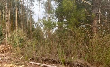 Parcela en Venta en cobquecura