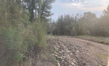 Parcela en Venta en cobquecura