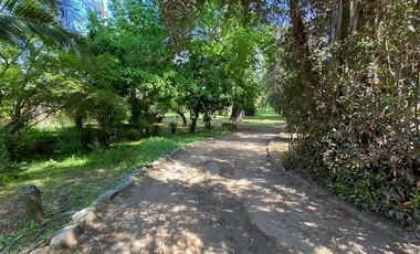 Parcela en Venta en La cartuja
