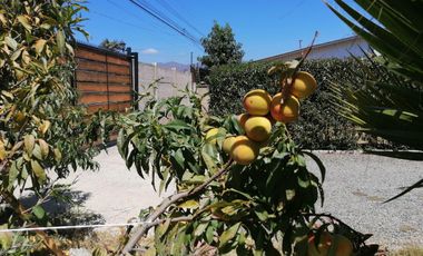 Se vende acogedora casa de un piso Limache Viejo