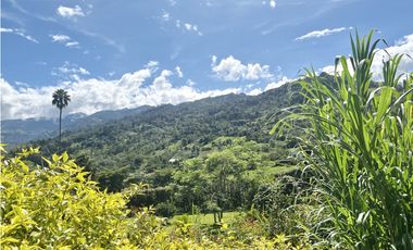 Casa Campestre en venta, Romero Bajo, Ubaque, Choachí, Cundinamarca