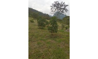 Finca en Venta en el municipio de Choachí Cundinamarca