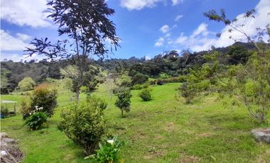 Finca en Venta en el municipio de Choachí Cundinamarca