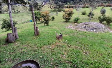 Finca en Venta en el municipio de Choachí Cundinamarca