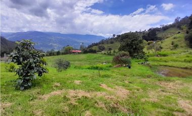 Finca en Venta en el municipio de Choachí Cundinamarca