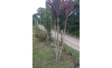 Finca en Venta en el municipio de Choachí Cundinamarca
