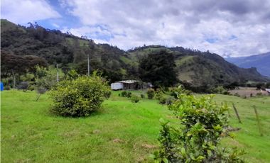 Finca en Venta en el municipio de Choachí Cundinamarca