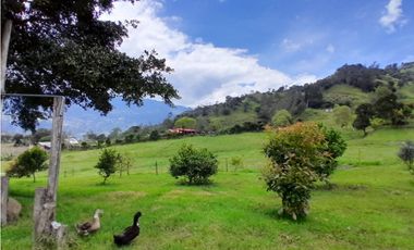 Finca en Venta en el municipio de Choachí Cundinamarca