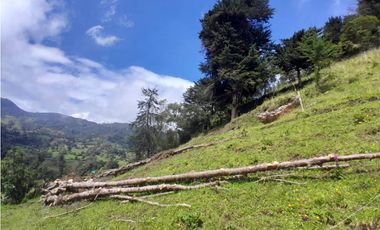 Finca en Venta en el municipio de Choachí Cundinamarca